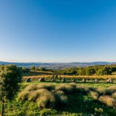 VALDONICA Winery & Vineyard Residence