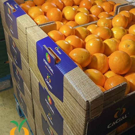 CACIAL - Cooperativa Agrícola de Citricultores do Algarve, C.R.L. - Packaged Products
