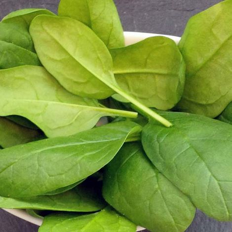 BABY SPINACH