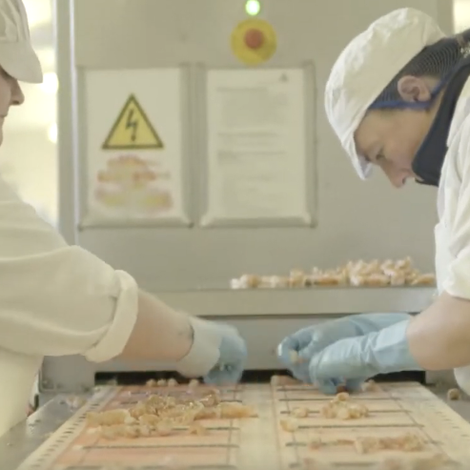 Kilkeel Seafoods Ltd - Facility