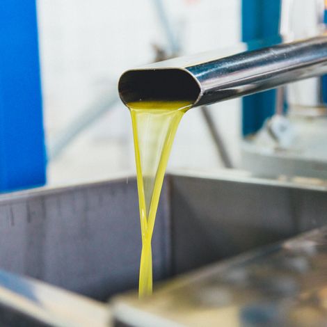 The extraction phase and the fresh olive oil