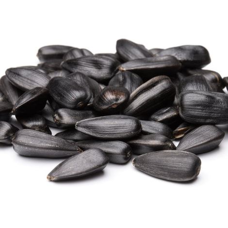 sunflower seed