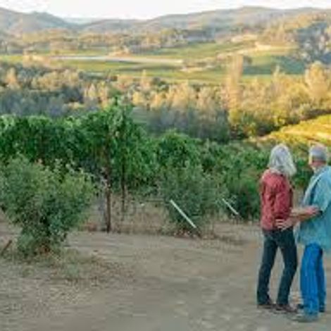 Clark C vineyard 3.jpg