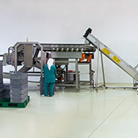 Cancilar Food Ltd. Sti.