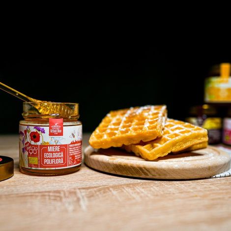 Mihoci Constantin PFA