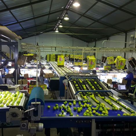 EPIC Fruit Exporters Pty Ltd - Facility