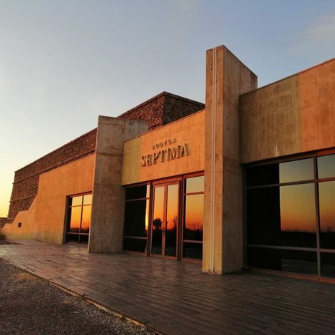 Bodega Septima - Cellar