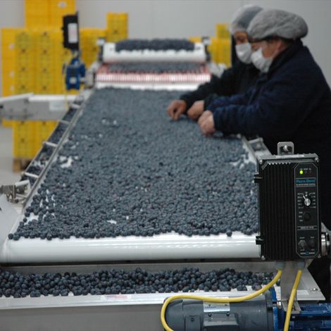 Agricola el Boldo SA - Facility
