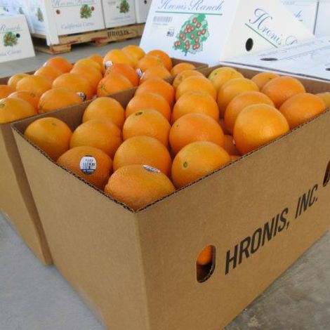 Hronis_Navel_Packaging