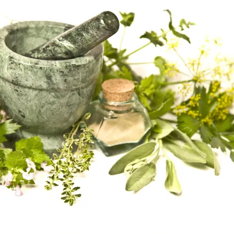 Herbs