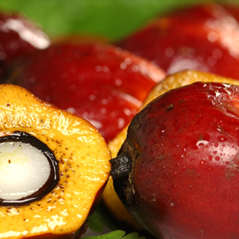 Omani Vegetable Oils & Derivatives Co.