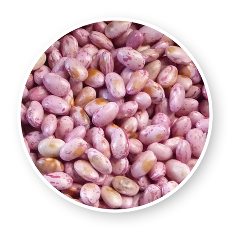 Abaymado Export
