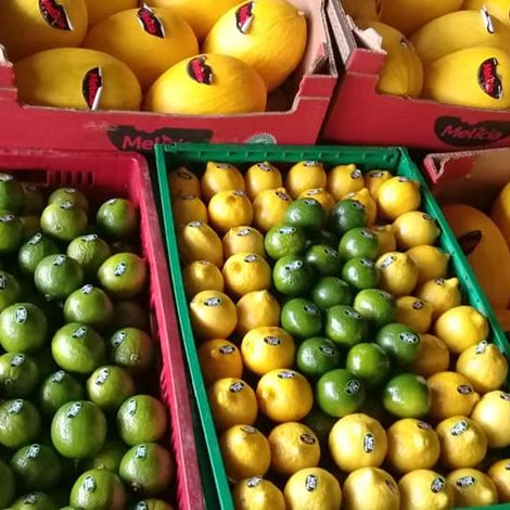 Frutasma - Products