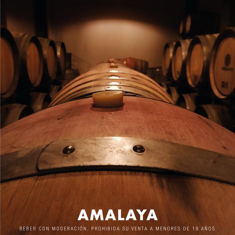 Bodega Amalaya