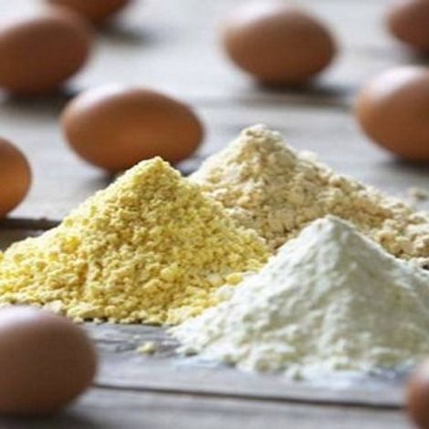 egg powder