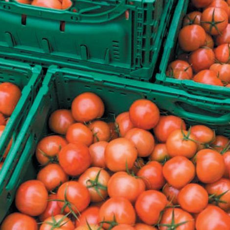 Te Mata Exports