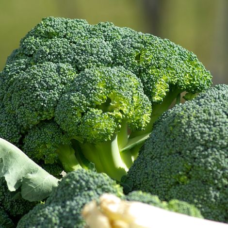 Gesund & Munter eK