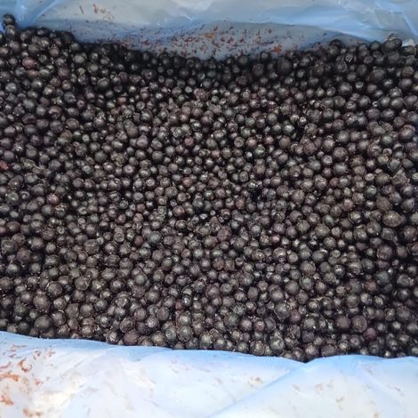 IQF WILD BLUBERRIES