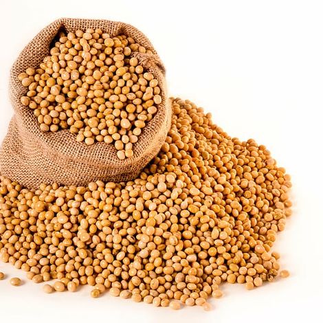 Soybean