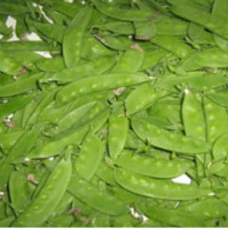 Verdufrut Guatemala