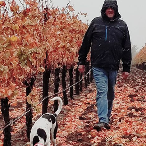 MARK HEROLD PhD/WINEMAKER