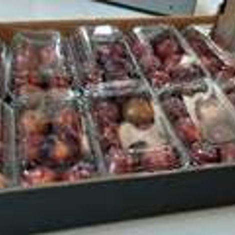 Angeleno Plum