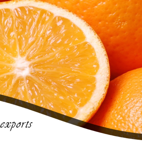 Pearl Safari Imports And Exports