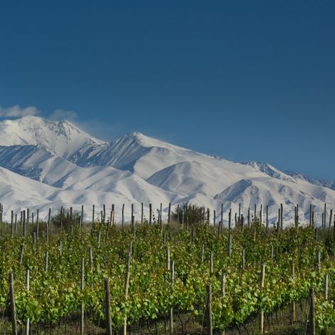 La Coste de Los Andes