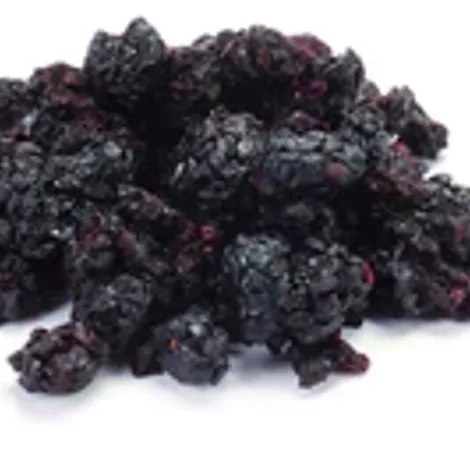 Organic-Blackberries-wild-Bio-wilde-Brombeeren_16f311b7-691b-4d04-b1a5-398d5be5dd63_200x.webp