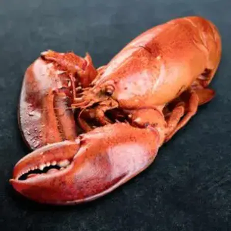 AO Seafood Ltd