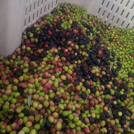 Inzana Ranch and Produce farms - Products
