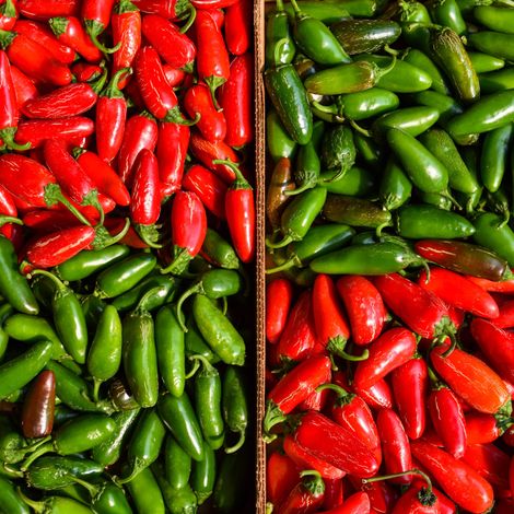 Jalapeno Peppers