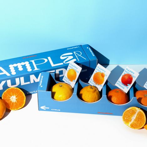 Citrus Sampler (2023 Reddot Design Award)