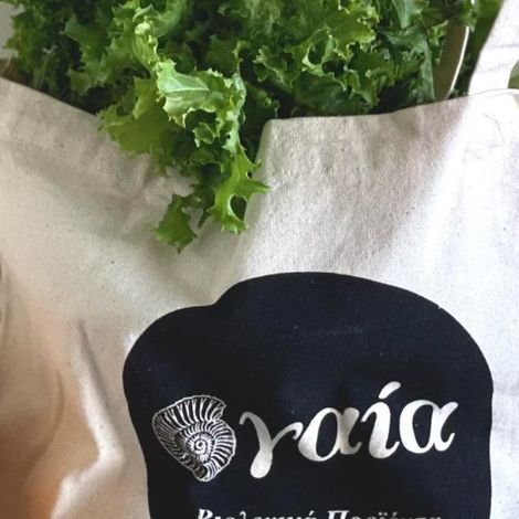 Screenshot 2023-02-09 152517.jpg