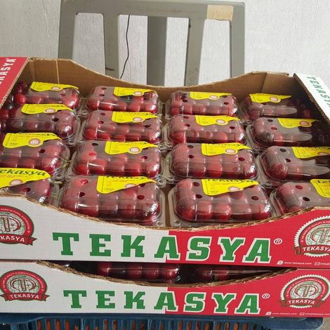Tekasya Agricultural Products - Products