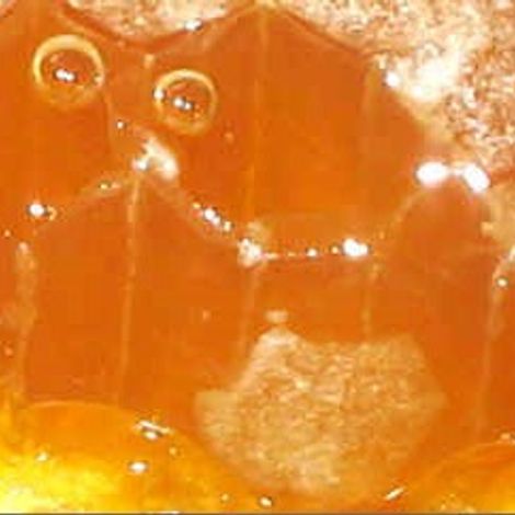 Hartnell & Associates Ltd. - Honey