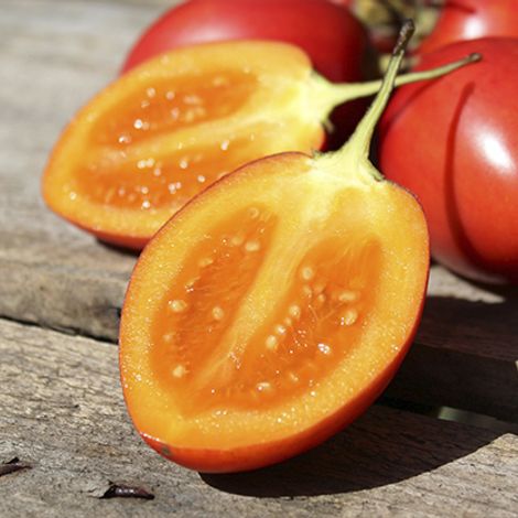 Tomato Tree Fruit