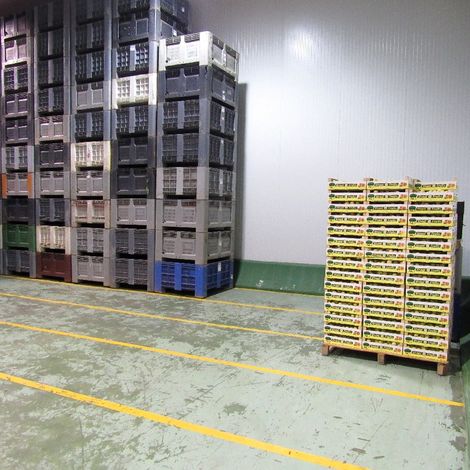 NOGAL FRUITS EXTREMADURA, S.L. - Storage