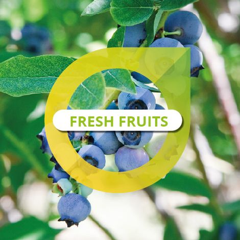 fresh-fruit.jpg