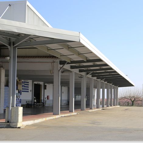 AGRICULTURAL COOP. OF FRUIT & VEGETABLE PROC. TRAD. OF NAOUSSA ASEPOP