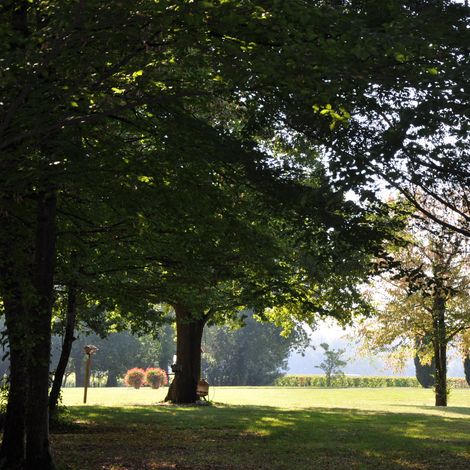 The Parc