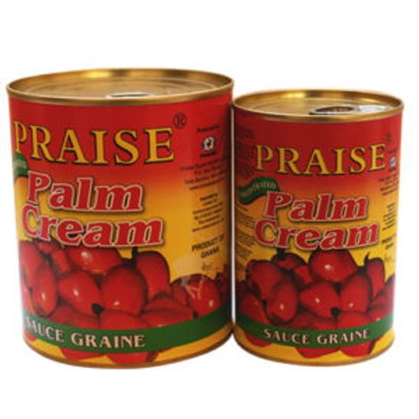 PRAISE EXPORT SERVICES LIMITED