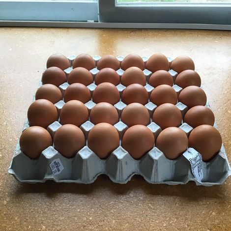 Aotearoa Free Range Eggs Limited