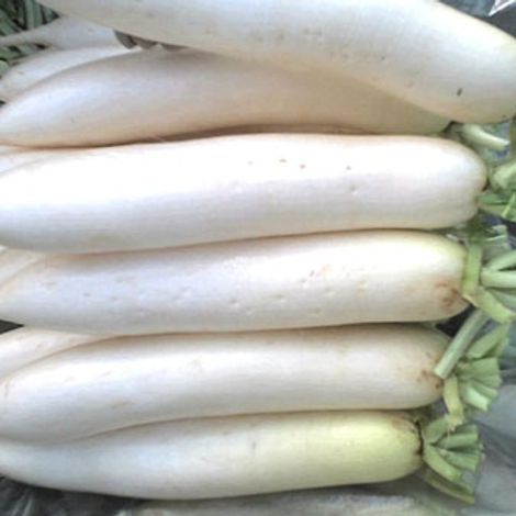 White-Radish