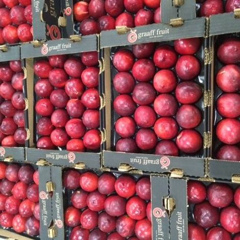 Graaff Fruit - Apple Products