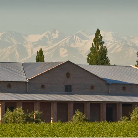 Winery and Vineyards