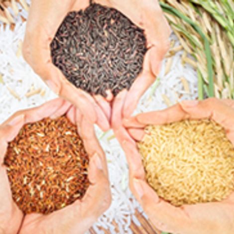 S&b Herba Foods Limited