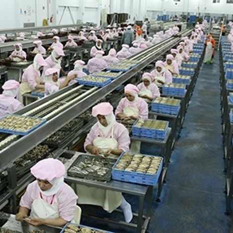 AVEIRO-MAROC - Facility