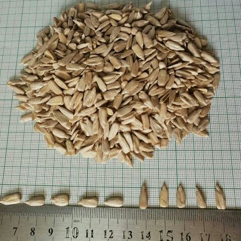 Confectionery size kernels