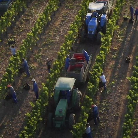 Harvesting
